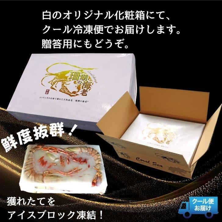 シータイガー 冷凍海老 当店最大 有頭 特大 冷凍エビ 超特大 天然有頭シータイガーえび 1.5kg 5尾サイズ 1尾あたり300ｇ前後！ バーベキュー エビフライ 業務用 |  | 17
