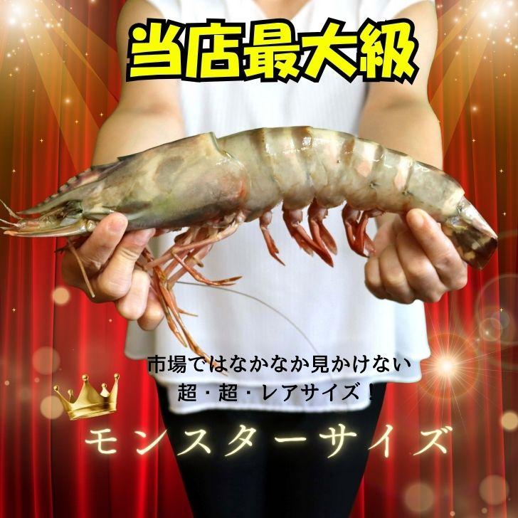 シータイガー 冷凍海老 当店最大 有頭 特大 冷凍エビ 超特大 天然有頭シータイガーえび 1.5kg 5尾サイズ 1尾あたり300ｇ前後！ バーベキュー エビフライ 業務用 |  | 07