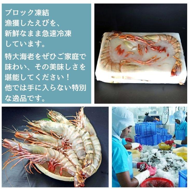シータイガー 冷凍海老 当店最大 有頭 特大 冷凍エビ 超特大 天然有頭シータイガーえび 1.5kg 5尾サイズ 1尾あたり300ｇ前後！ バーベキュー エビフライ 業務用 |  | 08