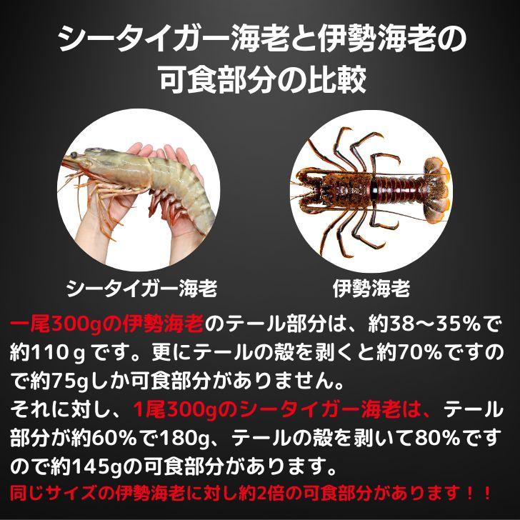 有頭エビフライ 特大 シータイガー 特大 当店直輸入 超特大 1.5kgで6尾の最大サイズ 高い鮮度 天然有頭シータイガーえび 特大 海老 エビ 大きい 冷凍えび 業務用 |  | 10