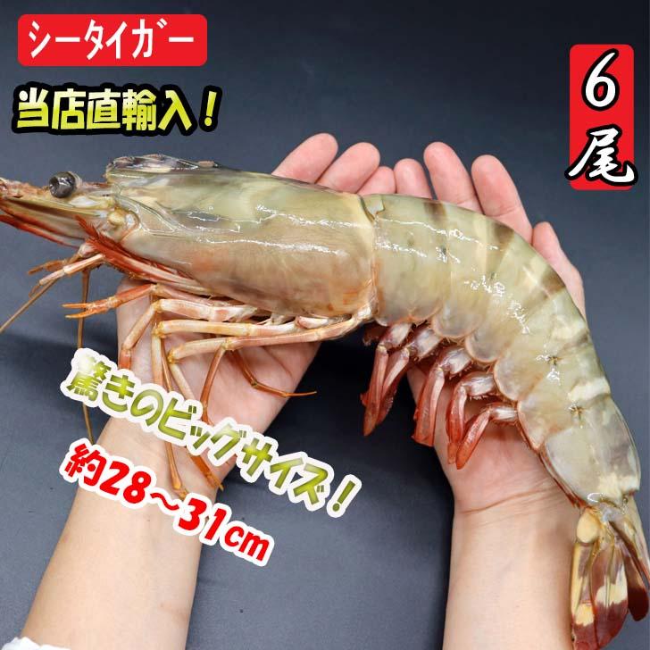 有頭エビフライ 特大 シータイガー 特大 当店直輸入 超特大 1.5kgで6尾の最大サイズ 高い鮮度 天然有頭シータイガーえび 特大 海老 エビ 大きい 冷凍えび 業務用 |  | 11