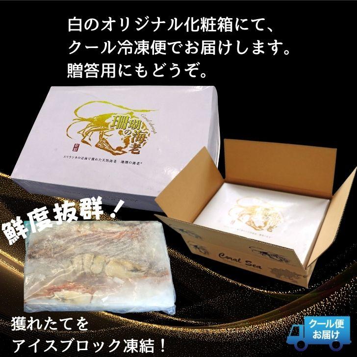 有頭エビフライ 特大 シータイガー 特大 当店直輸入 超特大 1.5kgで6尾の最大サイズ 高い鮮度 天然有頭シータイガーえび 特大 海老 エビ 大きい 冷凍えび 業務用 |  | 19