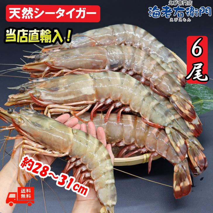 有頭エビフライ 特大 シータイガー 特大 当店直輸入 超特大 1.5kgで6尾の最大サイズ 高い鮮度 天然有頭シータイガーえび 特大 海老 エビ 大きい 冷凍えび 業務用 |  | 01