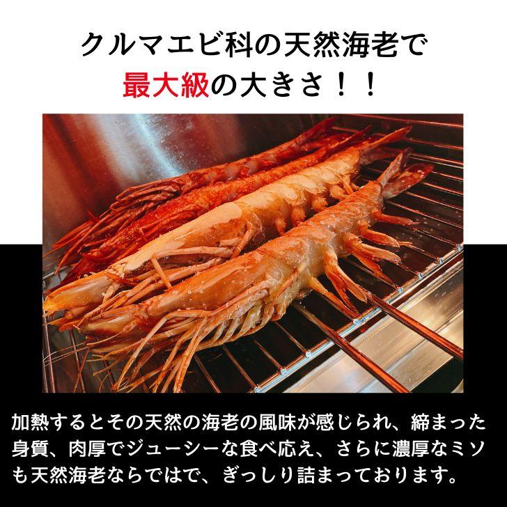 有頭エビフライ 特大 シータイガー 特大 当店直輸入 超特大 1.5kgで6尾の最大サイズ 高い鮮度 天然有頭シータイガーえび 特大 海老 エビ 大きい 冷凍えび 業務用 |  | 05