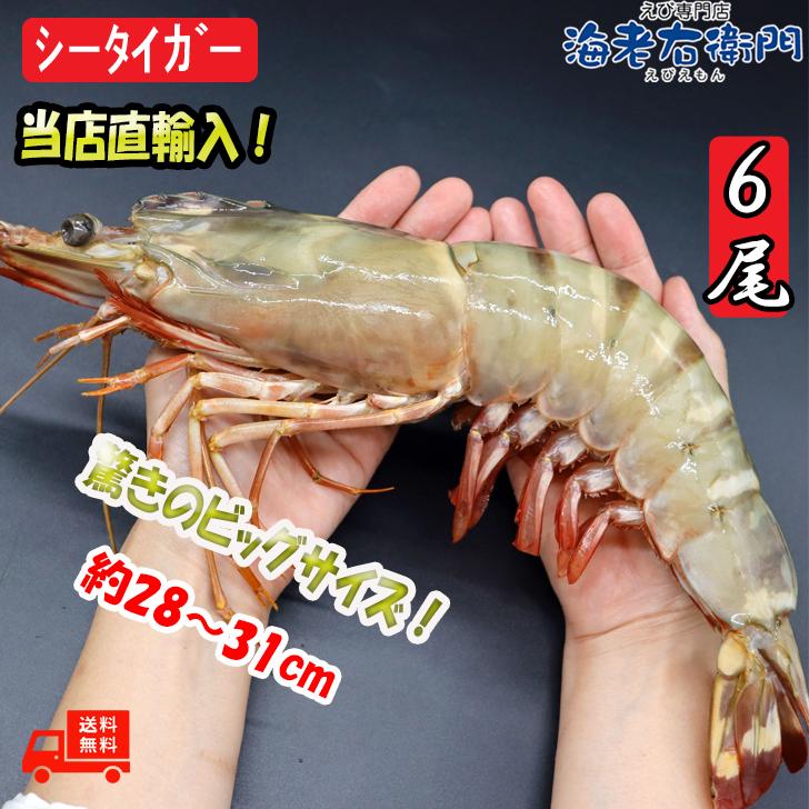有頭エビフライ 特大 シータイガー 特大 当店直輸入 超特大 1.5kgで6尾の最大サイズ 高い鮮度 天然有頭シータイガーえび 特大 海老 エビ 大きい 冷凍えび 業務用 |  | 07