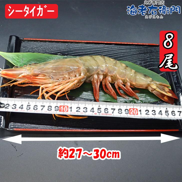 シータイガー 冷凍海老 当店直輸入 有頭 特大 冷凍エビ 超特大 天然有頭シータイガーえび 1.5kg 8尾サイズ スリランカ バーベキュー エビフライ 業務用 |  | 03