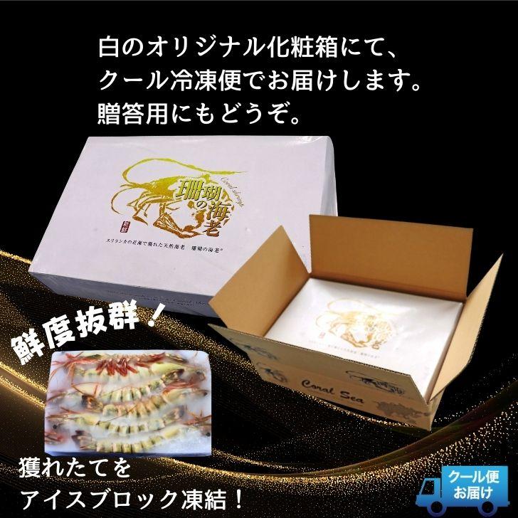 美味しい海老 シータイガー 12尾 1.5kg 有頭 特大 冷凍エビ 超特大 天然有頭シータイガー 海老 大きい 冷凍えび スリランカ バーベキュー エビフライ 業務用 |  | 11