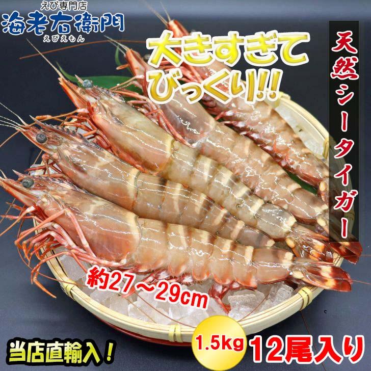 美味しい海老 シータイガー 12尾 1.5kg 有頭 特大 冷凍エビ 超特大 天然有頭シータイガー 海老 大きい 冷凍えび スリランカ バーベキュー エビフライ 業務用 |  | 01