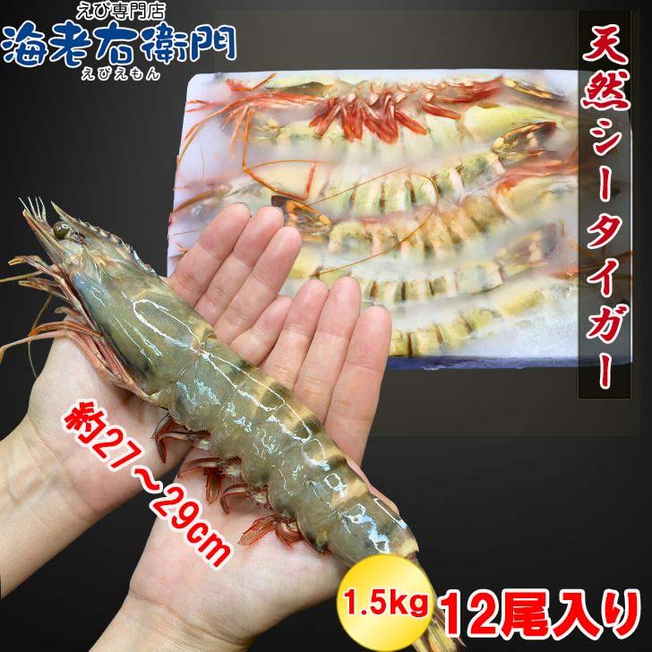 美味しい海老 シータイガー 12尾 1.5kg 有頭 特大 冷凍エビ 超特大 天然有頭シータイガー 海老 大きい 冷凍えび スリランカ バーベキュー エビフライ 業務用 |  | 04