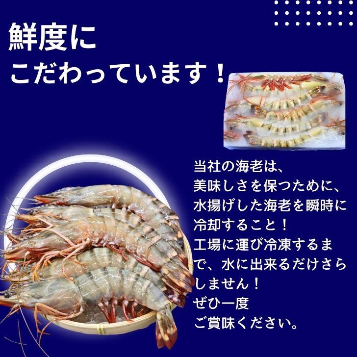 美味しい海老 シータイガー 12尾 1.5kg 有頭 特大 冷凍エビ 超特大 天然有頭シータイガー 海老 大きい 冷凍えび スリランカ バーベキュー エビフライ 業務用 |  | 06