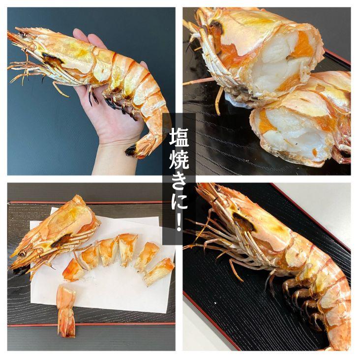 美味しい海老 シータイガー 12尾 1.5kg 有頭 特大 冷凍エビ 超特大 天然有頭シータイガー 海老 大きい 冷凍えび スリランカ バーベキュー エビフライ 業務用 |  | 07