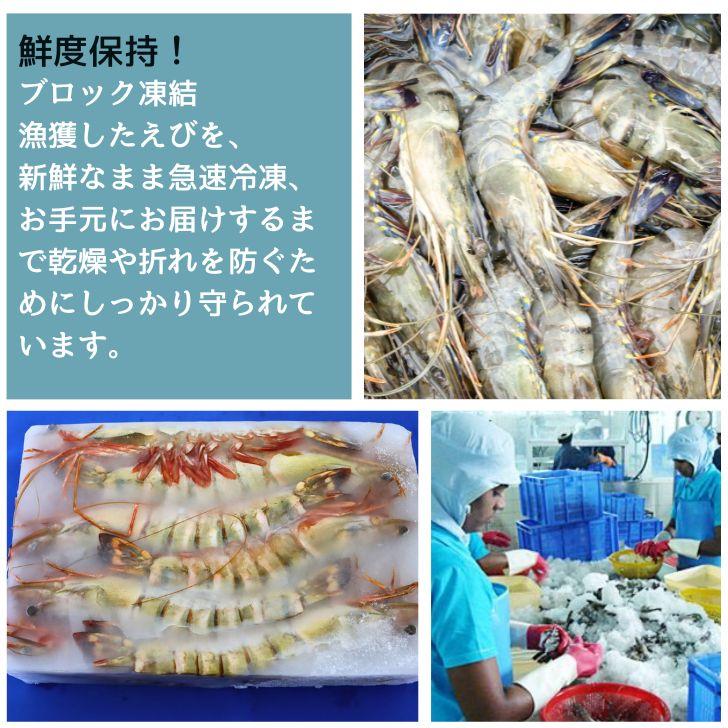 美味しい海老 シータイガー 12尾 1.5kg 有頭 特大 冷凍エビ 超特大 天然有頭シータイガー 海老 大きい 冷凍えび スリランカ バーベキュー エビフライ 業務用 |  | 09