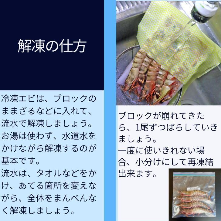 美味しい海老 シータイガー 有頭 冷凍エビ 長さ25センチ級 天然有頭シータイガー 1.5kg 15尾 海老 冷凍えび バーベキュー エビフライ 美味しい海老 業務用 |  | 11