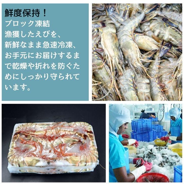 シータイガー 冷凍海老 当店直輸入 有頭 特大 冷凍エビ 超特大 天然有頭シータイガーえび 1.5kg 16尾サイズ スリランカ バーベキュー エビフライ 業務用 |  | 11