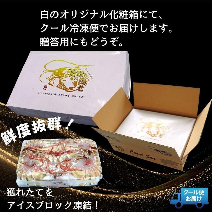 シータイガー 冷凍海老 当店直輸入 有頭 特大 冷凍エビ 超特大 天然有頭シータイガーえび 1.5kg 16尾サイズ スリランカ バーベキュー エビフライ 業務用 |  | 13