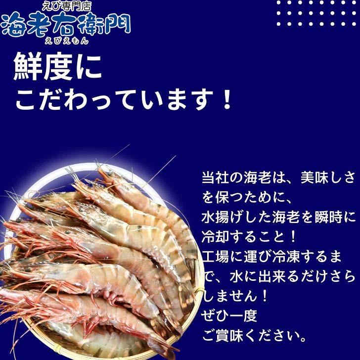 シータイガー 冷凍海老 当店直輸入 有頭 特大 冷凍エビ 超特大 天然有頭シータイガーえび 1.5kg 16尾サイズ スリランカ バーベキュー エビフライ 業務用 |  | 15