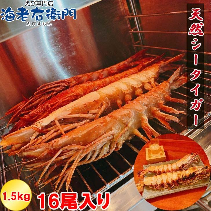 シータイガー 冷凍海老 当店直輸入 有頭 特大 冷凍エビ 超特大 天然有頭シータイガーえび 1.5kg 16尾サイズ スリランカ バーベキュー エビフライ 業務用 |  | 01