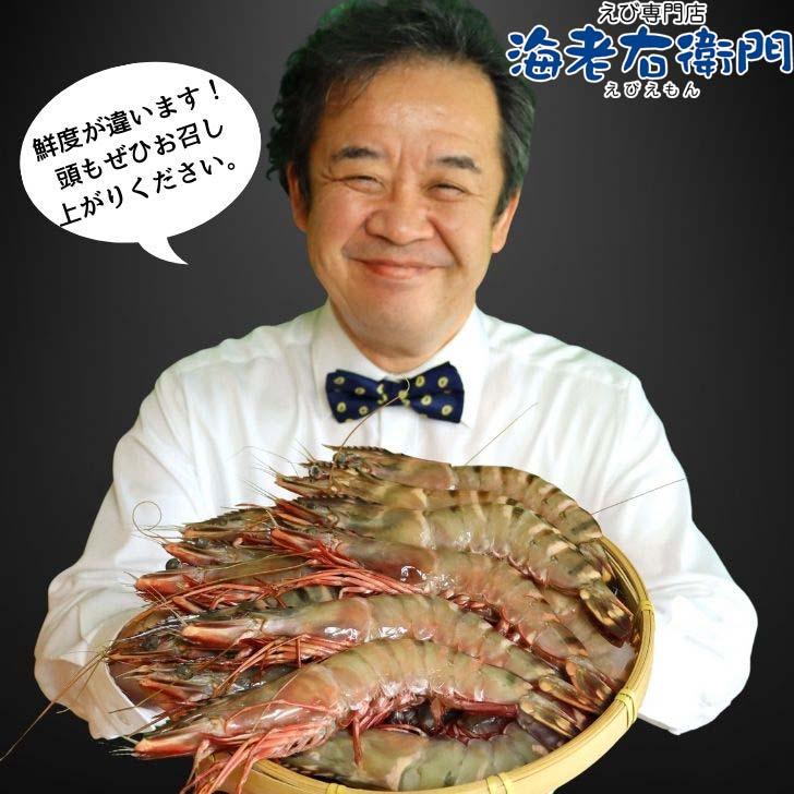 シータイガー 冷凍海老 当店直輸入 有頭 特大 冷凍エビ 超特大 天然有頭シータイガーえび 1.5kg 16尾サイズ スリランカ バーベキュー エビフライ 業務用 |  | 04