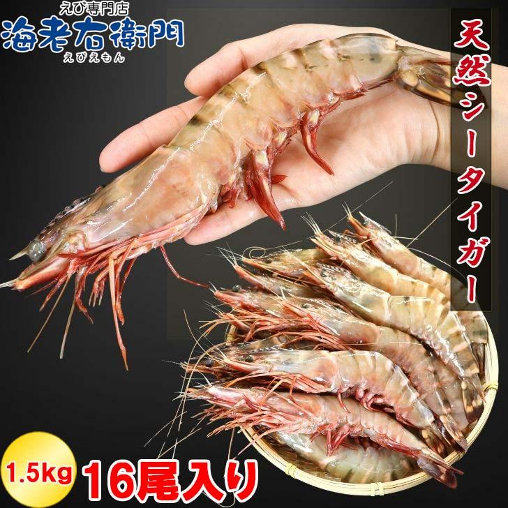シータイガー 冷凍海老 当店直輸入 有頭 特大 冷凍エビ 超特大 天然有頭シータイガーえび 1.5kg 16尾サイズ スリランカ バーベキュー エビフライ 業務用 |  | 06