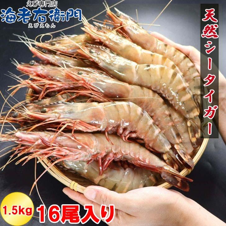 シータイガー 冷凍海老 当店直輸入 有頭 特大 冷凍エビ 超特大 天然有頭シータイガーえび 1.5kg 16尾サイズ スリランカ バーベキュー エビフライ 業務用 |  | 07