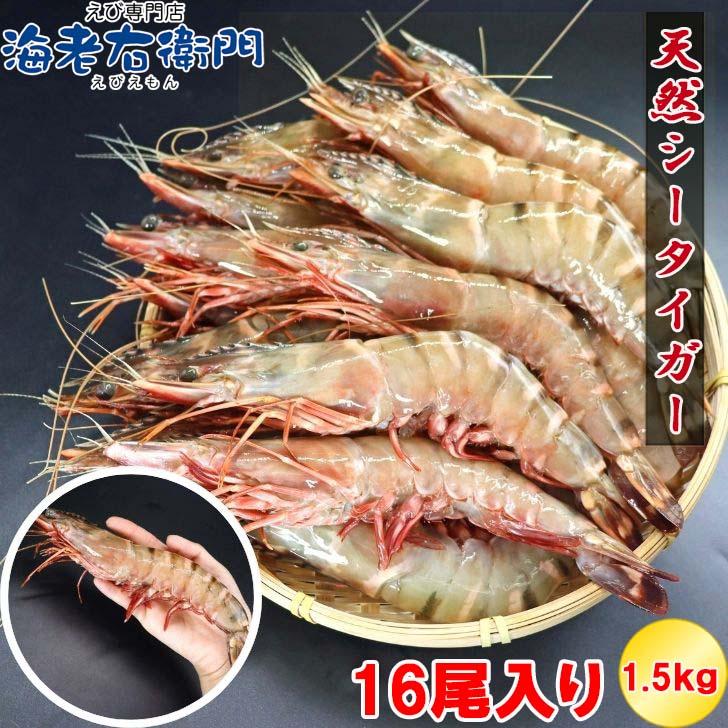 シータイガー 冷凍海老 当店直輸入 有頭 特大 冷凍エビ 超特大 天然有頭シータイガーえび 1.5kg 16尾サイズ スリランカ バーベキュー エビフライ 業務用 |  | 09