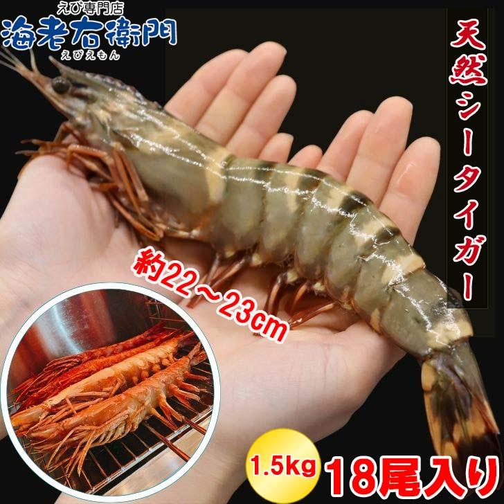 当店直輸入！長さ20センチ級！天然有頭シータイガーえび 1.5kg