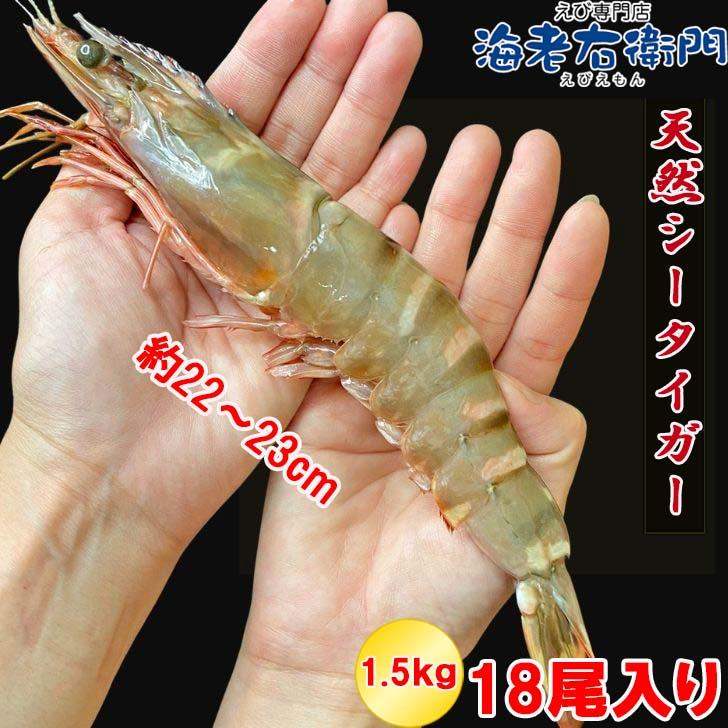 当店直輸入！長さ20センチ級！天然有頭シータイガーえび 1.5kg 18尾サイズ 冷凍えび バーベキュー 美味しいエビフライ 冷凍エビ エビ 業務用 |  | 11