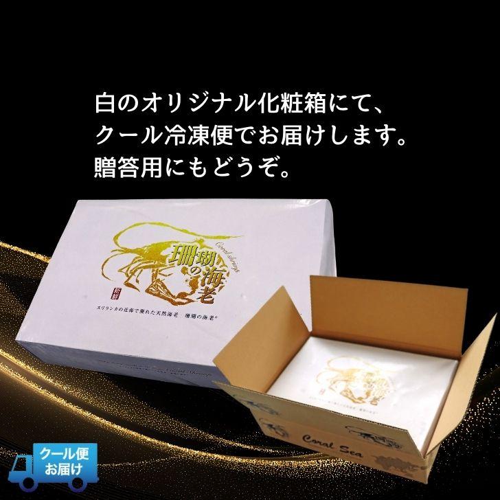 当店直輸入！長さ20センチ級！天然有頭シータイガーえび 1.5kg 18尾サイズ 冷凍えび バーベキュー 美味しいエビフライ 冷凍エビ エビ 業務用 |  | 12