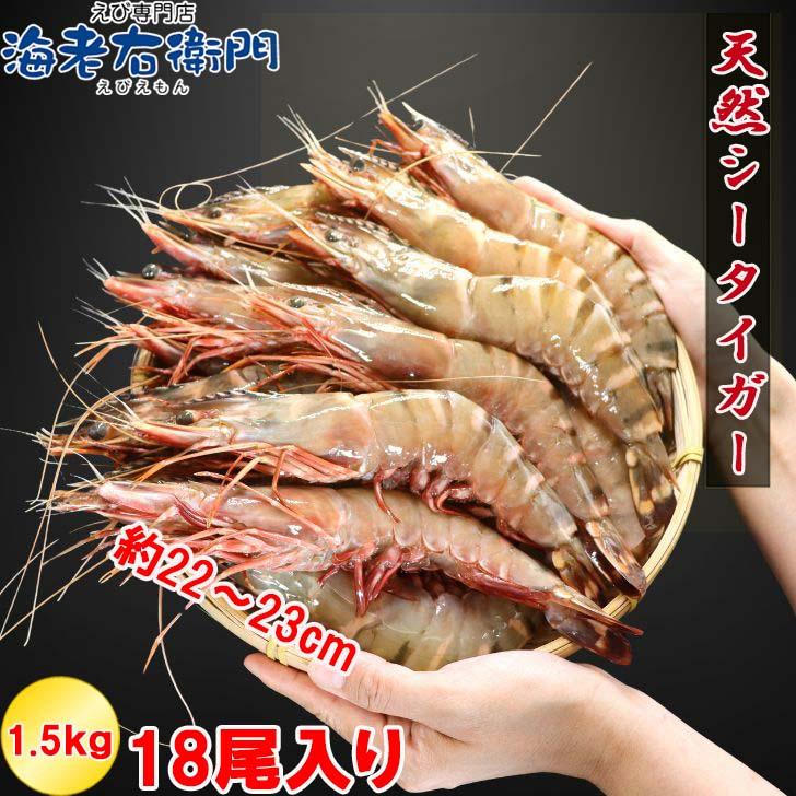 当店直輸入！長さ20センチ級！天然有頭シータイガーえび 1.5kg 18尾サイズ 冷凍えび バーベキュー 美味しいエビフライ 冷凍エビ エビ 業務用 |  | 15