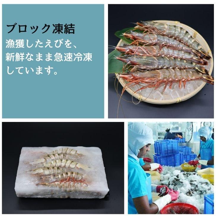 当店直輸入！長さ20センチ級！天然有頭シータイガーえび 1.5kg 18尾サイズ 冷凍えび バーベキュー 美味しいエビフライ 冷凍エビ エビ 業務用 |  | 05