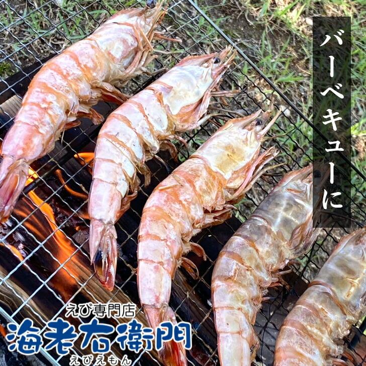 長さ20センチ級！天然有頭ホワイトえび 1.5kg 18尾入り 有頭エビ 海老 冷凍えび ホワイト海老 バーベキュー 天ぷら BBQ 美味しい海老 美味しいエビフライ 業務用 |  | 03