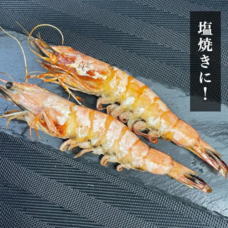 長さ20センチ級！天然有頭ホワイトえび 1.5kg 18尾入り 有頭エビ 海老 冷凍えび ホワイト海老 バーベキュー 天ぷら BBQ 美味しい海老 美味しいエビフライ 業務用 |  | 04