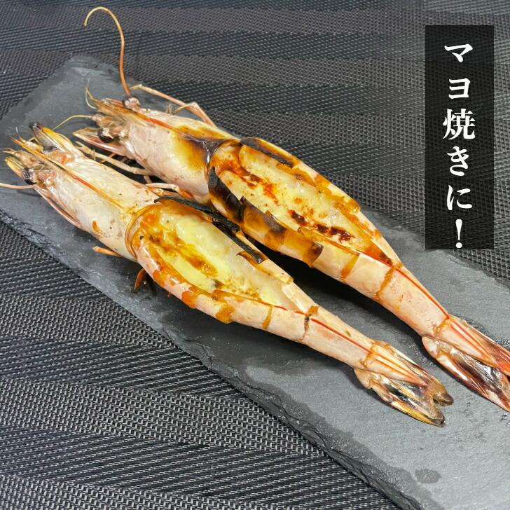 長さ20センチ級！天然有頭ホワイトえび 1.5kg 18尾入り 有頭エビ 海老 冷凍えび ホワイト海老 バーベキュー 天ぷら BBQ 美味しい海老 美味しいエビフライ 業務用 |  | 06