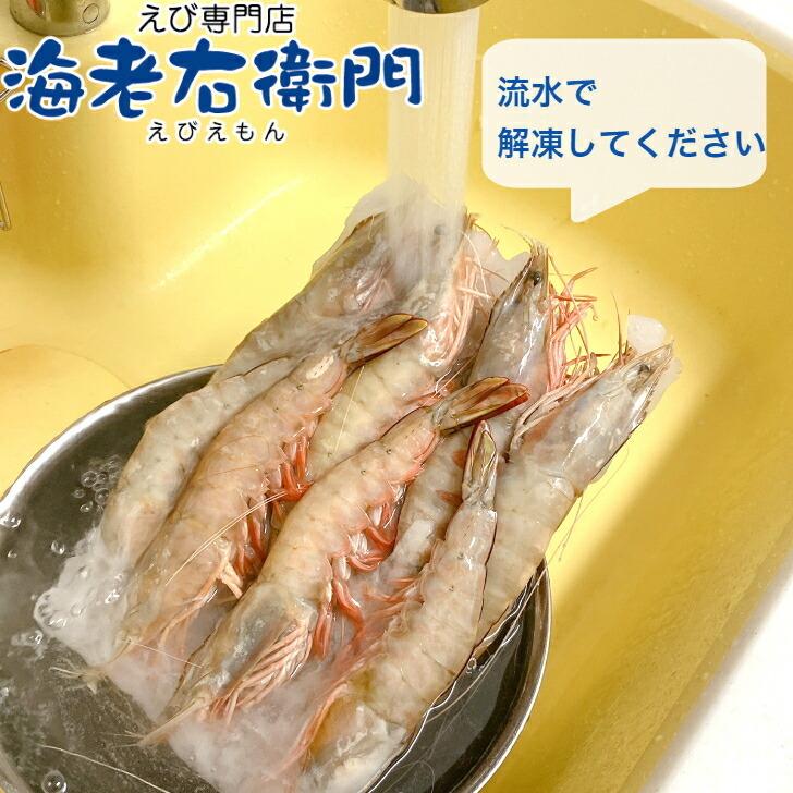 長さ20センチ級！天然有頭ホワイトえび 1.5kg 18尾入り 有頭エビ