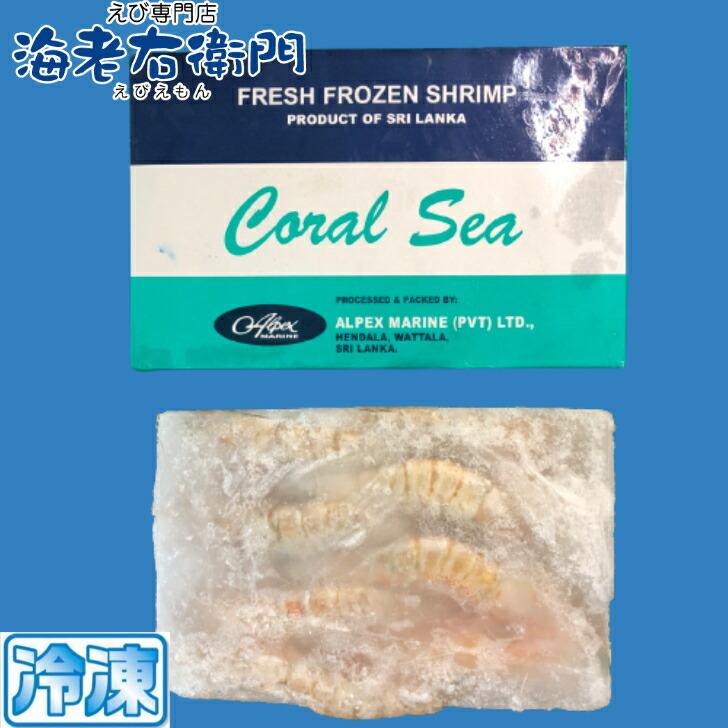 長さ20センチ級！天然有頭ホワイトえび 1.5kg 18尾入り 有頭エビ 海老 冷凍えび ホワイト海老 バーベキュー 天ぷら BBQ 美味しい海老 美味しいエビフライ 業務用 |  | 09