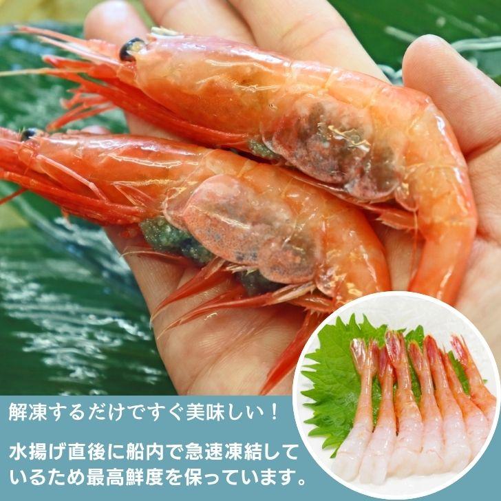 甘えび 1kg 2Lサイズ 船内で凍結した最高鮮度の商品です。お刺身 海鮮丼 手巻き寿司 ちらし寿司 甘海老 あまえび 甘エビ あまエビ 大きい 業務用 |  | 03