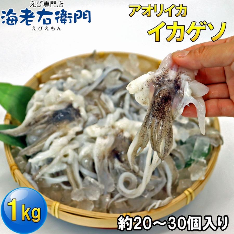 海老右衛門 アオリイカゲソ 20/30サイズ 1kg(1kgに約20〜30入り) 柔らかくて甘みの強いゲソ 塩焼き イカ下足 いか いかげそ バーベキュー お弁当 業務用 | 