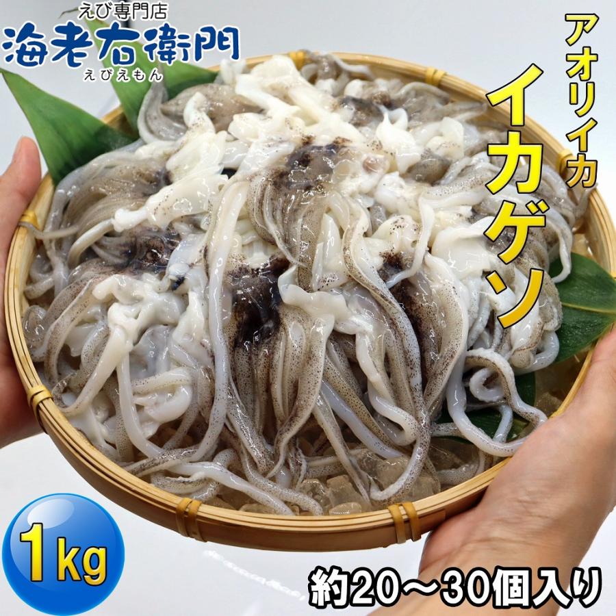 海老右衛門 アオリイカゲソ 20/30サイズ 1kg(1kgに約20〜30入り) 柔らかくて甘みの強いゲソ 塩焼き イカ下足 いか いかげそ バーベキュー お弁当 業務用 |  | 01