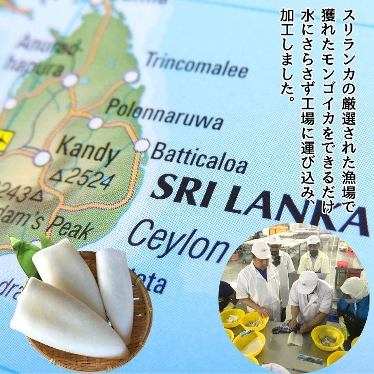 スリランカ産 モンゴイカ フィレ 1kg 肉厚 2〜4枚入り 冷凍イカ 紋甲いか イカステーキ 天ぷら 塩焼き バーベキュー 海鮮 冷凍海鮮 いか  加熱用 業務用 |  | 12