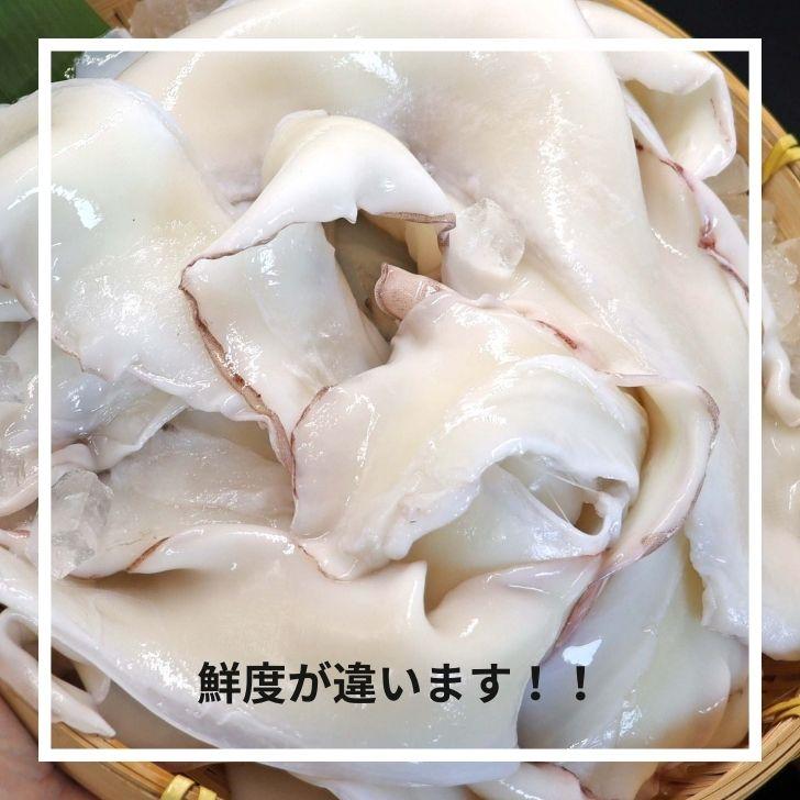 モンゴイカミミ 20cm以上サイズ 約1kg モンゴウイカ 紋甲イカ 冷凍 いかみみ 冷凍イカ 唐揚げ 天ぷら 八宝菜 おつまみ いか天  業務用 |  | 16