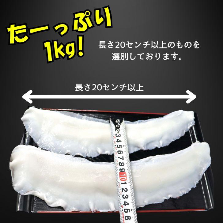 モンゴイカミミ 20cm以上サイズ 約1kg モンゴウイカ 紋甲イカ 冷凍 いかみみ 冷凍イカ 唐揚げ 天ぷら 八宝菜 おつまみ いか天  業務用 |  | 09