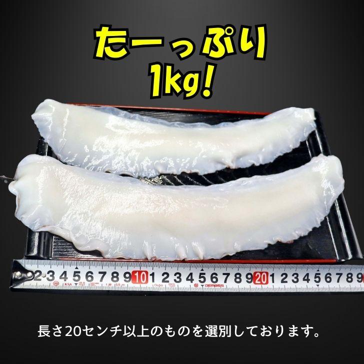 モンゴイカミミ 20cm以上サイズ 約1kg モンゴウイカ 紋甲イカ 冷凍 いかみみ 冷凍イカ 唐揚げ 天ぷら 八宝菜 おつまみ いか天  業務用 |  | 03
