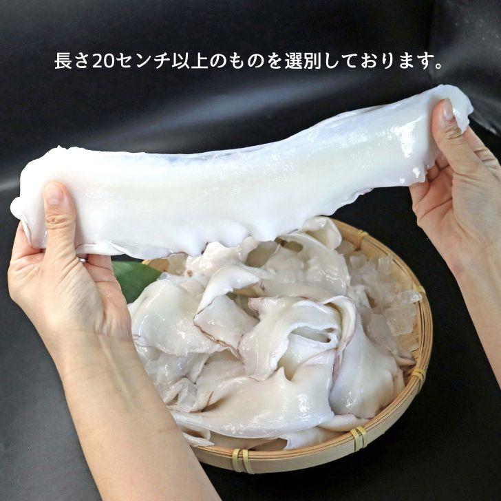 モンゴイカミミ 20cm以上サイズ 約1kg モンゴウイカ 紋甲イカ 冷凍 いかみみ 冷凍イカ 唐揚げ 天ぷら 八宝菜 おつまみ いか天  業務用 |  | 05