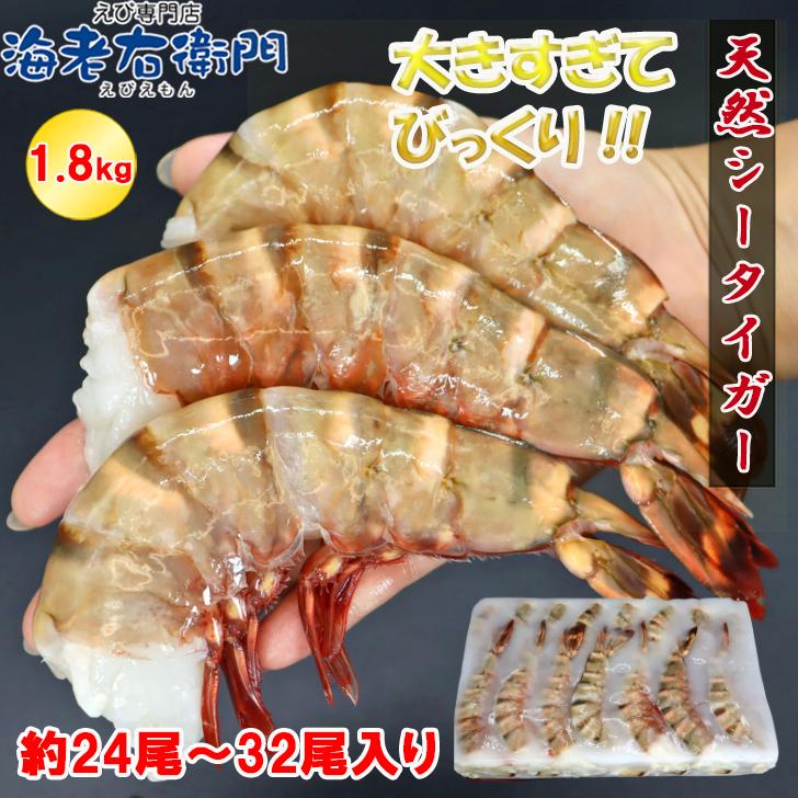 海老天ぷら 超超特大6/8サイズ 約24尾〜32尾入り 天然シー 海老天ぷら 超超特大6/8サイズ 約24尾〜32尾入り 天然シー