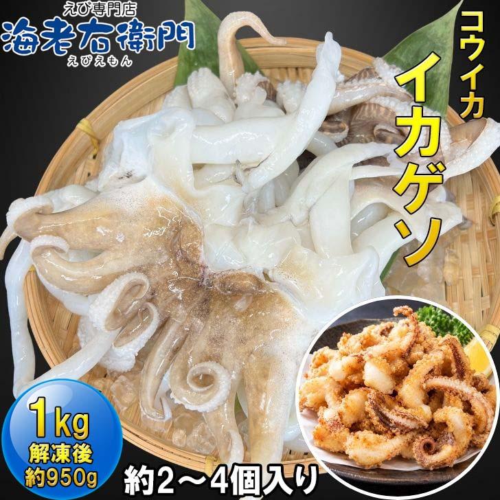 【業務用】コウイカゲソ 約1kg 2/4サイズ（2〜4個入り）タイ産 紋甲イカ げそ イカ 下足 冷凍 唐揚げ BBQ おつまみ 塩焼き イカ下足 いかげそ | 