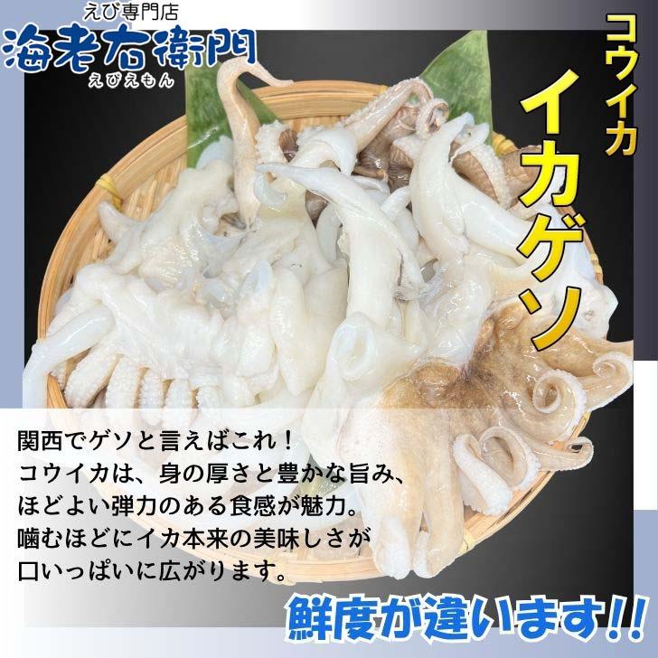 【業務用】コウイカゲソ 約1kg 2/4サイズ（2〜4個入り）タイ産 紋甲イカ げそ イカ 下足 冷凍 唐揚げ BBQ おつまみ 塩焼き イカ下足 いかげそ |  | 13