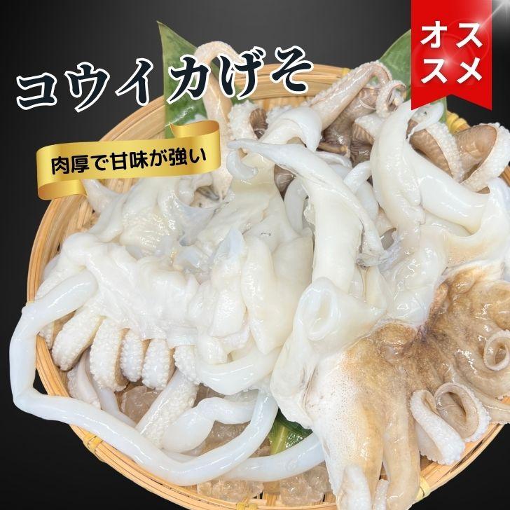【業務用】コウイカゲソ 約1kg 2/4サイズ（2〜4個入り）タイ産 紋甲イカ げそ イカ 下足 冷凍 唐揚げ BBQ おつまみ 塩焼き イカ下足 いかげそ |  | 16