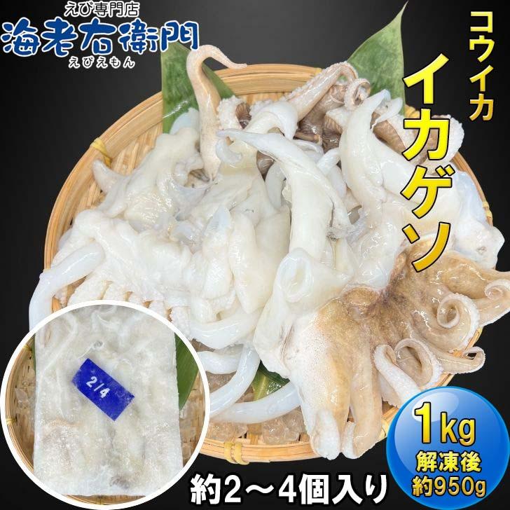 【業務用】コウイカゲソ 約1kg 2/4サイズ（2〜4個入り）タイ産 紋甲イカ げそ イカ 下足 冷凍 唐揚げ BBQ おつまみ 塩焼き イカ下足 いかげそ |  | 03