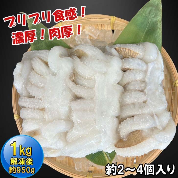 【業務用】コウイカゲソ 約1kg 2/4サイズ（2〜4個入り）タイ産 紋甲イカ げそ イカ 下足 冷凍 唐揚げ BBQ おつまみ 塩焼き イカ下足 いかげそ |  | 05