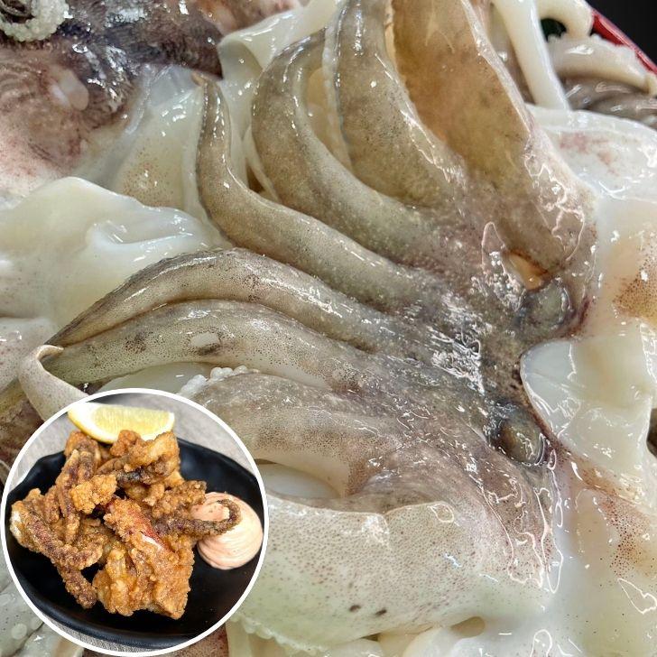 海老右衛門 モンゴイカゲソ 2/4サイズ 1kg(1kgに約2〜4入り) 肉厚で甘みの強いゲソ 塩焼き イカ下足 いか いかげそ バーベキュー おつまみ お弁当 業務用 | 